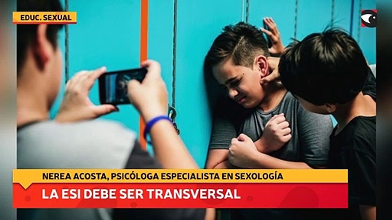 La ESI debe ser transversal