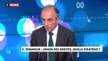Éric Zemmour sur les candidats LR : «Ils font campagne pour être le Premier ministre d’Emmanuel Macron»