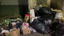 El mercado Alcalde se ha convertido en el basurero comunitario de la zona Centro de Guadalajara