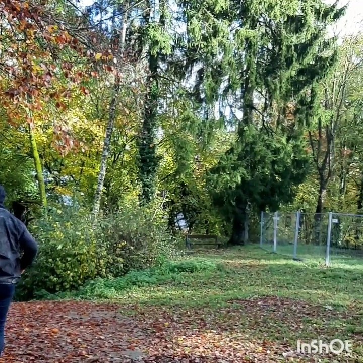 Herbstliebe* Corona Tag 595