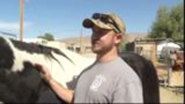 KMIR Cares: Coachella Valley Horse Ranch