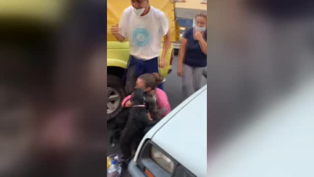 Emotivo reencuentro de una familia de La Palma con sus perros perdidos