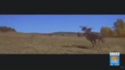 My Top 5 Favorite Westerns of All Time