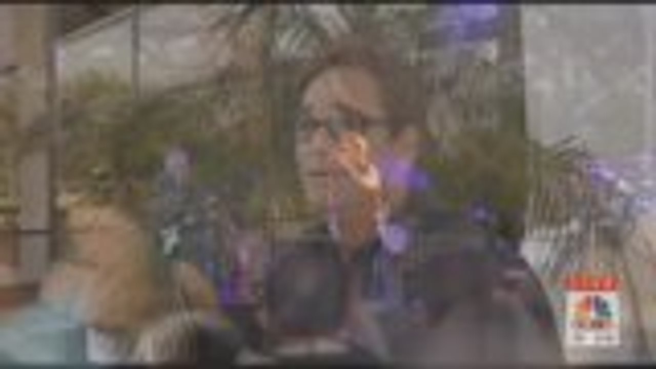 cbc live 4