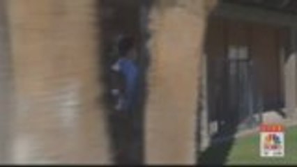 Building Owner In Indio Told To Trim City Trees