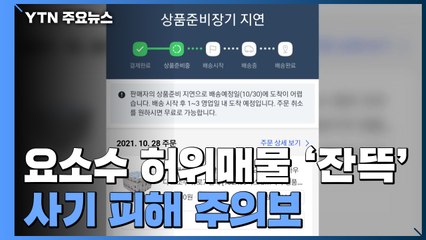 인터넷에 '요소수 허위매물' 잔뜩...'사기 피해' 주의보 / YTN