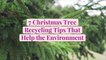 7 Christmas Tree Recycling Tips That Help the Environment