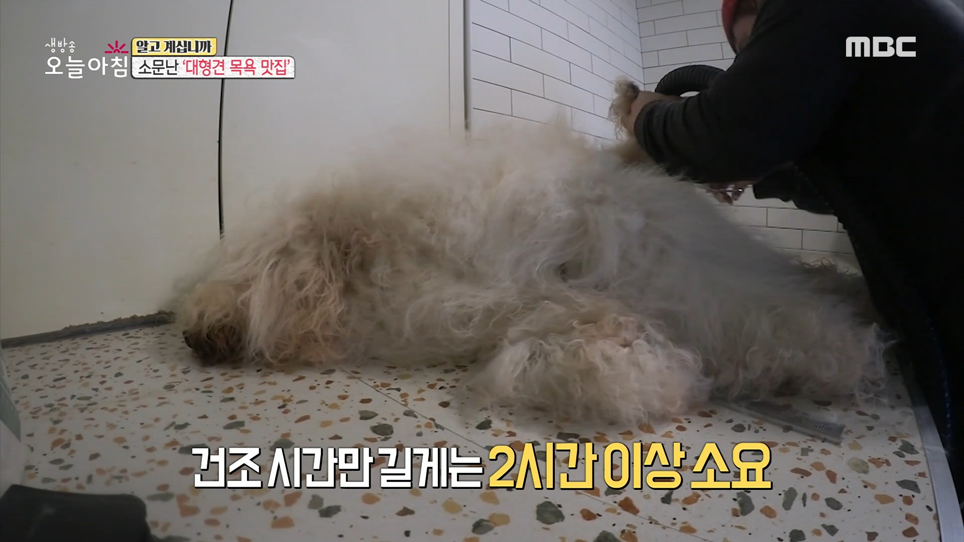 [INCIDENT] Selling parking tickets on used trading sites?, 생방송 오늘 아침 211105