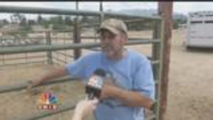 Community Clears Horse Ranch Under Palmer Fire Evacuation Order