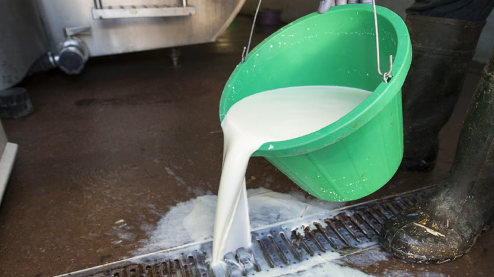 The US is producing more milk than ever, even as Americans are drinking