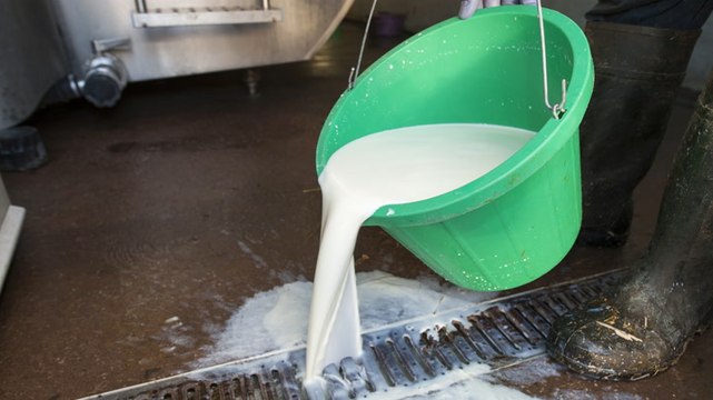 The US is producing more milk than ever, even as Americans are drinking less of it. Here's why.