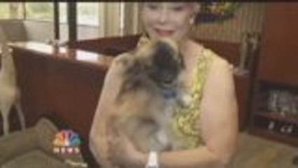 KMIR Cares: Seniors Offering Shelter