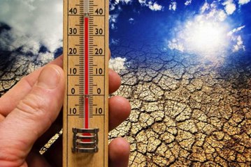 Engenheiro florestal alerta para aumento da temperatura e extinção de várias espécies