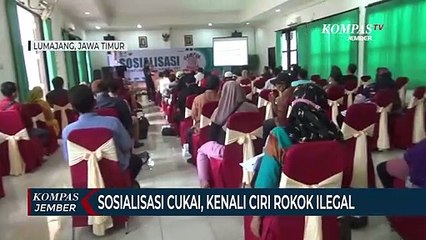 Download Video: Pemkab Lumajang Sosialisasi Cukai dan Memperkenalkan Ciri Rokok Ilegal