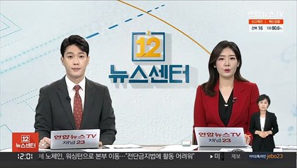 환경부 "산업용 요소수, 차량용 전환 기술 검토"