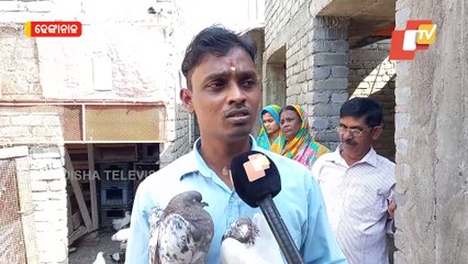 Special Story | Meet Odisha's Pigeon Men Who Cares The Birds As Own