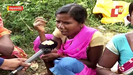 Malkangiri Locals Set Open Country Liquor Shop Under Open Sky