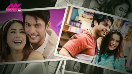 Siddharth Shukla and Shahnaz Gill's relationship has been revealed in