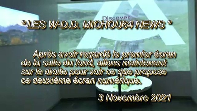 LES W-D.D. MICHOU64 NEWS - 3 NOVEMBRE 2021 - PAU - OBSERVONS MAINTENANT LE DEUXIÈME ÉCRAN À DROITE DE LA SALLE DU FOND DE L'O.T.