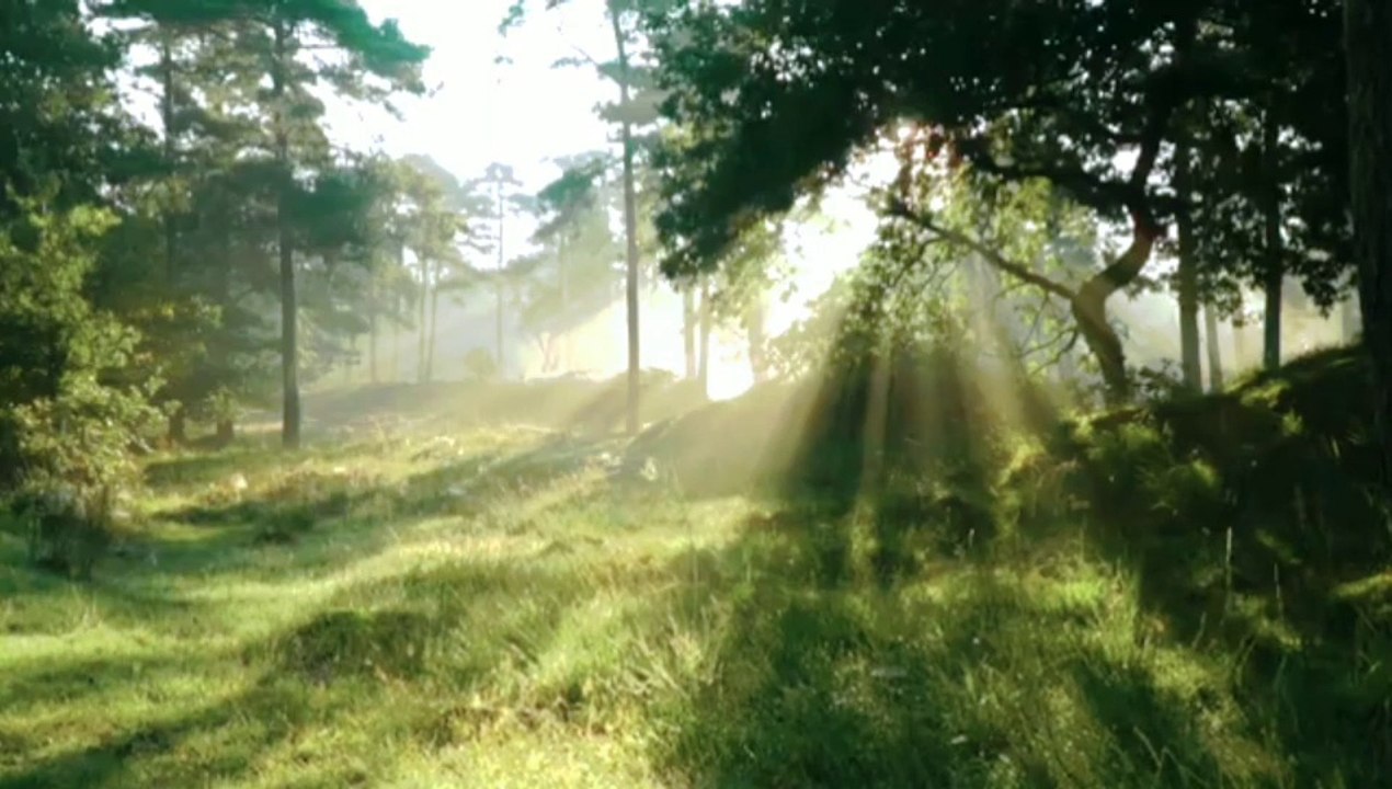 Relaxing music from stress, for deep sleep