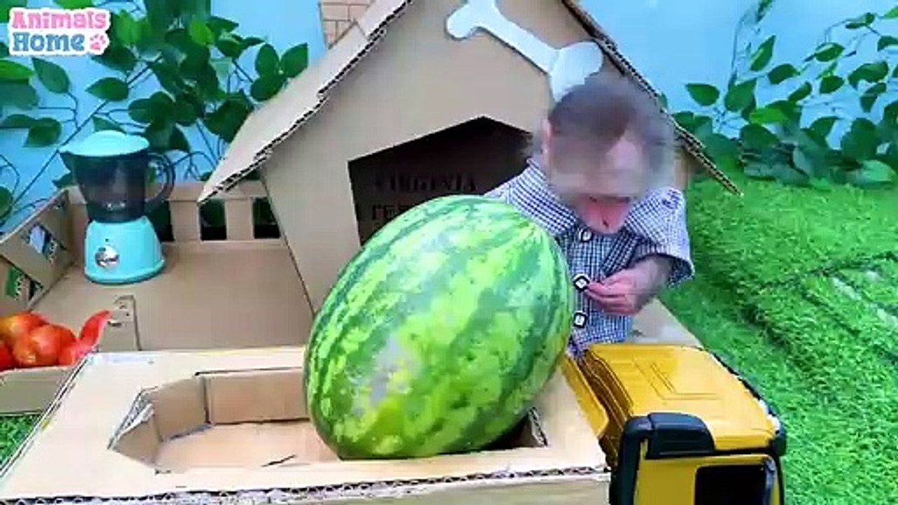 Farmer BiBi picks fruit to make juice