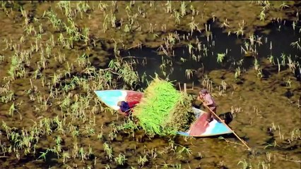 ...طلا با غيت على إسمه لأن الرغيف الفرنسي ي...