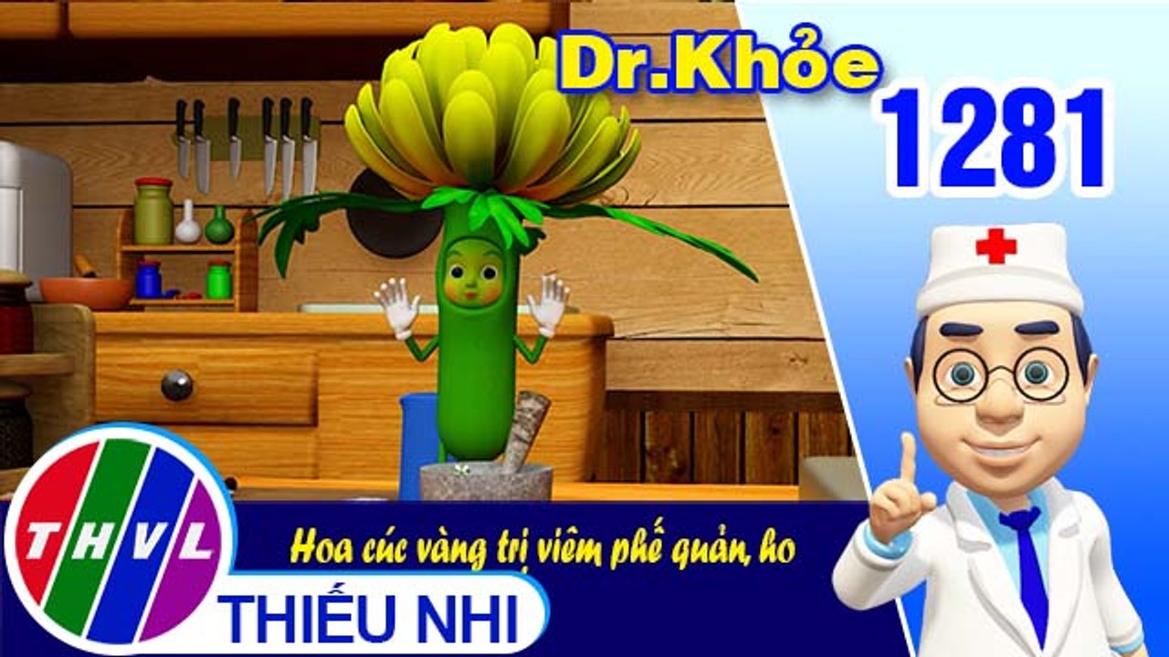 Dr. Khỏe - Tập 1281: Hoa cúc vàng trị viêm phế quản, ho