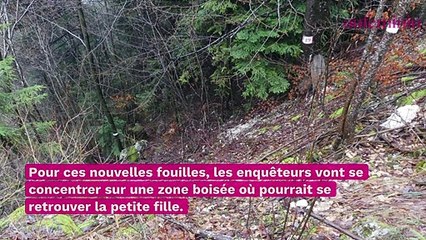 Affaire Estelle Mouzin : de nouvelles fouilles prévues dans les Ardennes