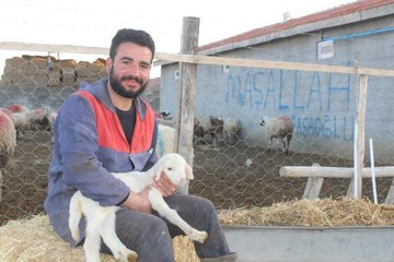 14 koyunla başladı, şimdi hem yetiştiriyor hem de satıyor