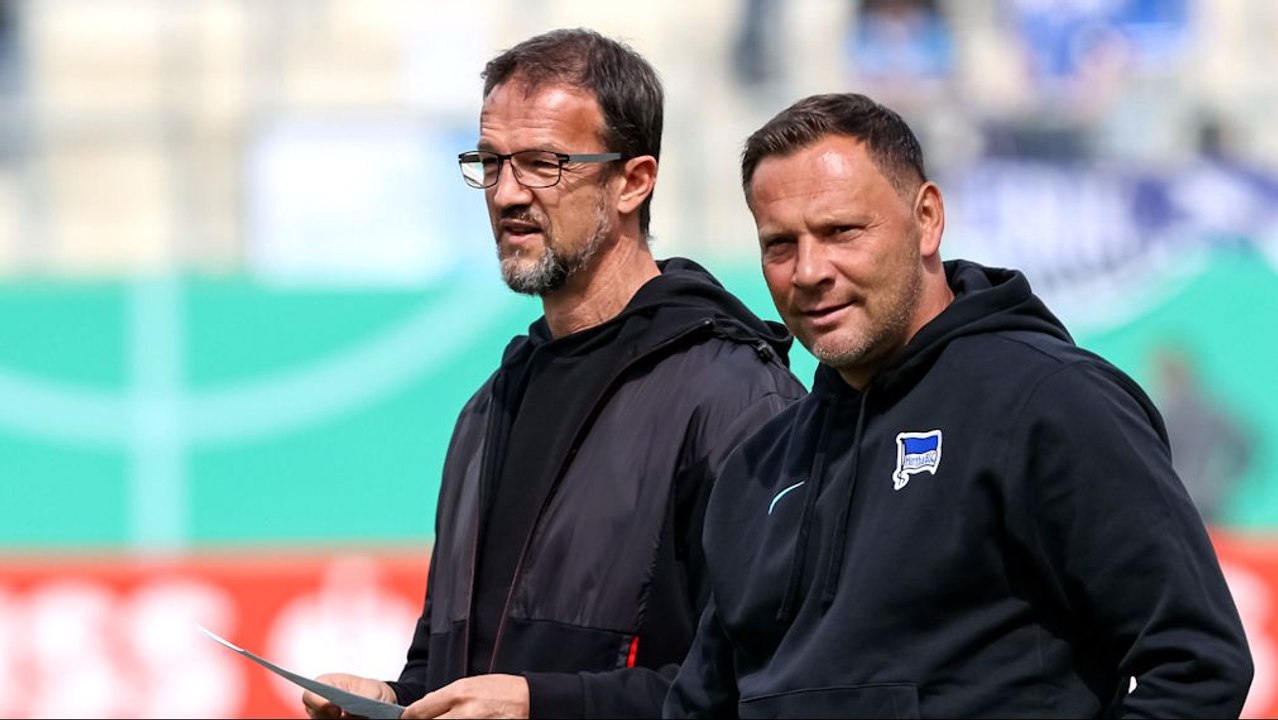 Bobic offen: "Dardai hätte eigentlich fliegen müssen"