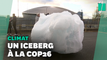 Cet Iceberg de 4 tonnes a été expédié depuis le Groenland pour fondre à la Cop26