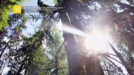 Doc. Animal - Rússia Selvagem - O Cáucaso