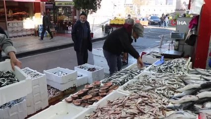 Karadeniz'deki hamsi bolluğu yüzleri güldürdü