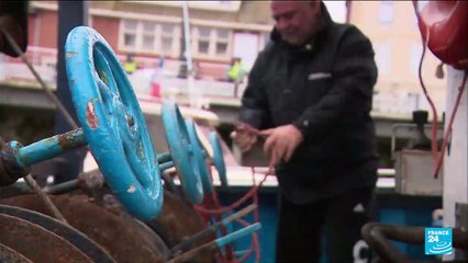 Crise de la pêche : les pêcheurs français obligés de rester à quai, faute d'autorisation venant de Londres