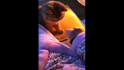 Funniest Pets Don'T Try To Hold Back Laughter