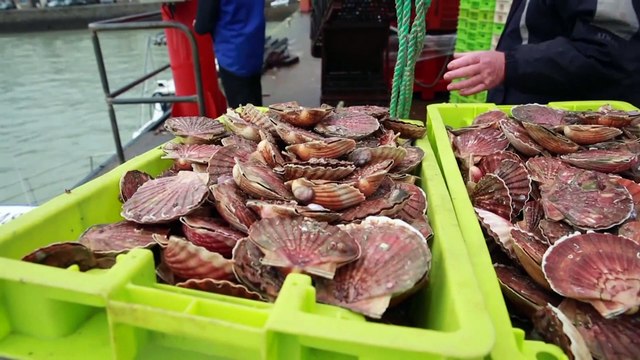 Francia congela sus represalias en espera de un compromiso en la pesca con el Reino Unido