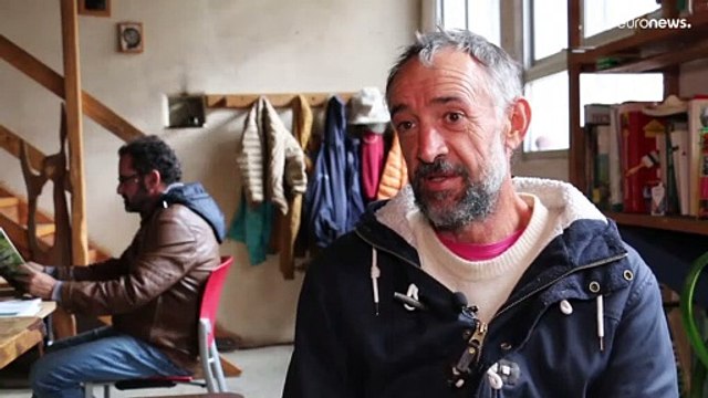 Экологи против свиней: испанские активисты добиваются закрытия крупных ферм