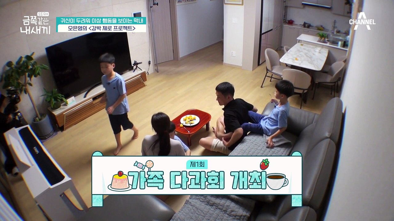 [오은영의 금쪽 처방] 강박은 깨고 감정은 나눠라! 마음껏 지저분해지는(?) 강제 오...