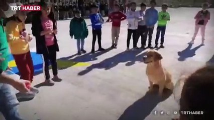 "Can dostlar" öğrenciler için gösteri yapıyor