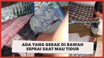 Ada yang Gerak di Bawah Seprai saat Mau Tidur, Wanita Kaget Temukan Ini