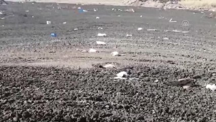 Bataklığa saplanan köpek yavrusunu itfaiye kurtardı