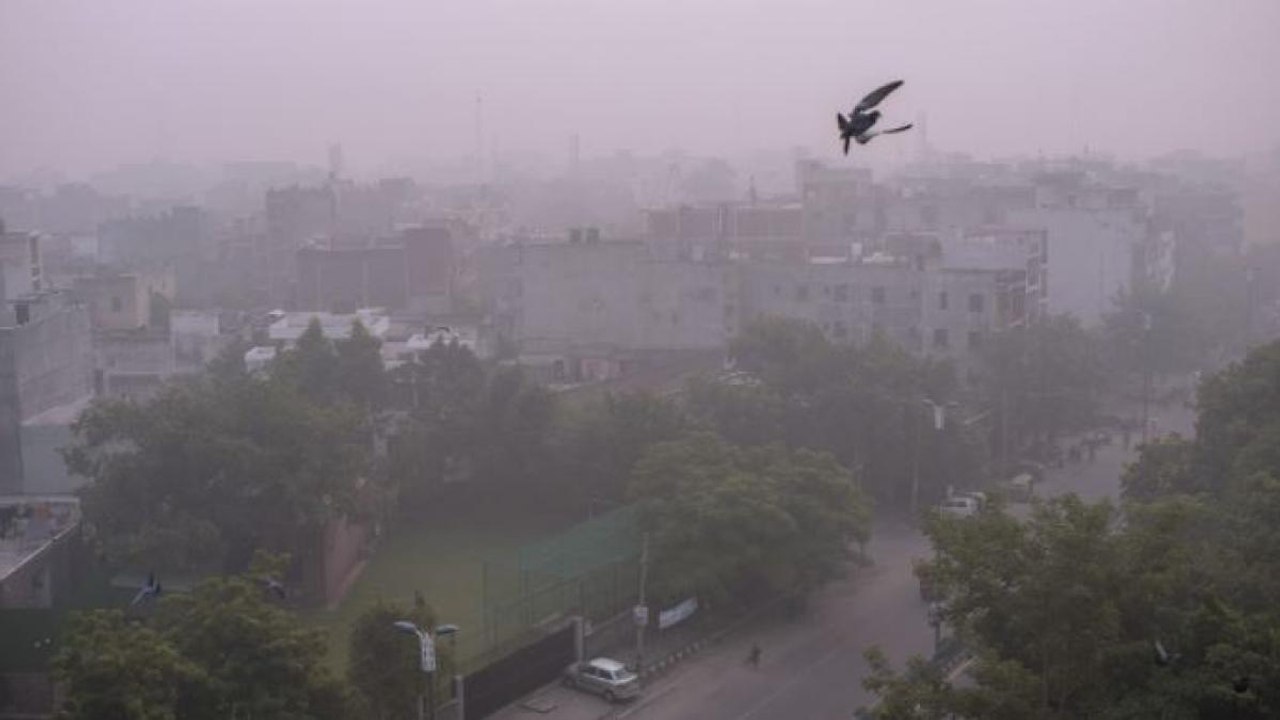 Political fight over crackers as Delhi chokes after Diwali