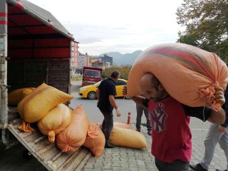 Fiyat farkı üreticiyi TMO'ya yöneltiyor