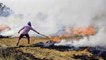 DIU Video: Farm fire spike in Punjab & Haryana