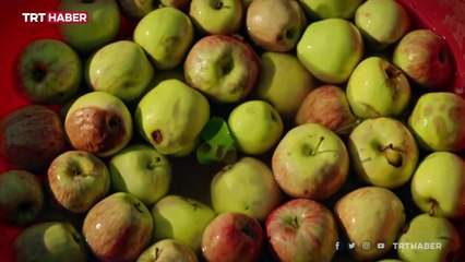 Türkiye'nin Oscar adayı "Bağlılık Hasan"a Brezilya'dan ödül