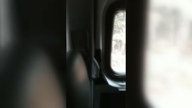 Son dakika haberi: Ormanlık alandaki ayı cep telefonu kamerasıyla görüntülendi