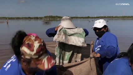 Los manglares, un tesoro de la naturaleza en peligro