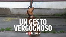 Napoli, filmato l'abbandono di un cane in zona Frullone: 