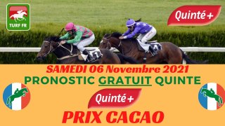 Minute Quinté TURF FR : PRIX CACAO - Samedi 06 novembre 2021 - PARIS-AUTEUIL  PMU #258690