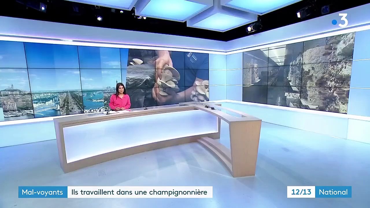 Strasbourg : une champignonnière forme des personnes malvoyantes